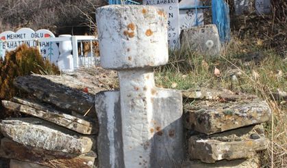 BU ORMANLARDA ASLAN VE KAPLANLAR YAŞARDI