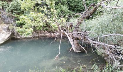Banaz çayının güzellikleri artık daha net görülüyor