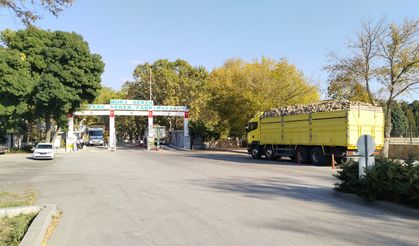 Uşak Şeker'in tadı kaçtı!