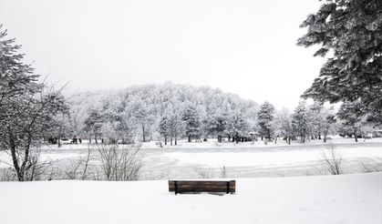 Topuk Yaylası'ndaki kar manzarası hayran bıraktı! İşte tüm fotoğraflar!