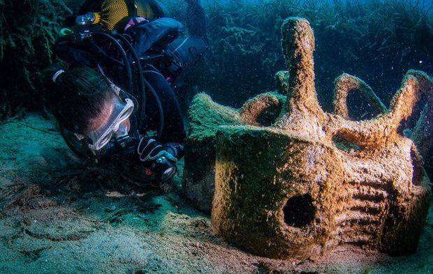 Foça'da atık midye kabuklarının ilk sakini ahtapot oldu