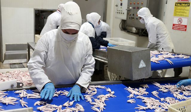 Uşak Eşme'den dünyaya tavuk satan Gedik, Türkiye genelinde en büyük 100'üncü şirket oldu