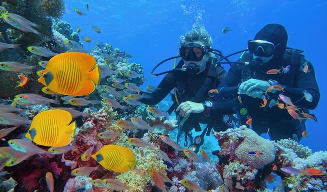 6 ve 9 Haziran 2025'teki Kurban Bayramı'nda parası olanlara her türlü yurtiçi ve yurtdışı tatil var!