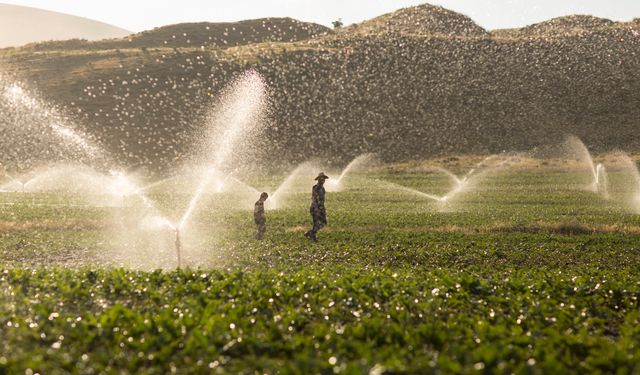 Uşak'taki çiftçilere elektrik faturalarında kolaylık sağlanacak