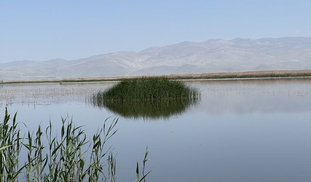 Uşak'a yakın mesafede bulunan cennet gibi bir yer: Eber Gölü