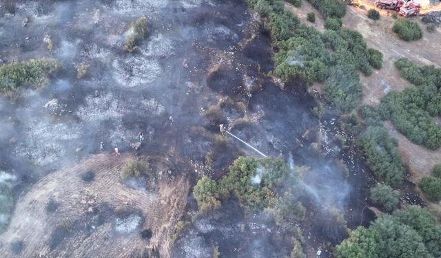 Rüzgarın etkisiyle büyüyen Kula Gölbaşı yangını, yoğun çaba sonucu söndürüldü