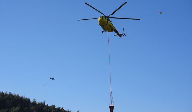 Aliağa ve Foça'daki orman yangınına 20 saattir havadan ve karadan müdahale ediliyor