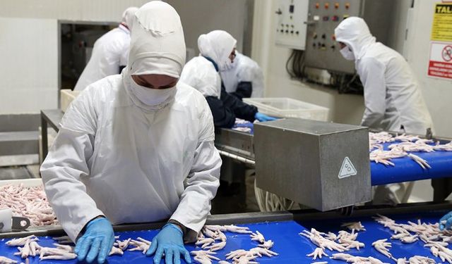 Uşak, Eşme, Ulubey, Alaşehir ve Güney'den çok sayıda kişiyi çalıştıran şirket, İngiltere ve AB'ye açılıyor