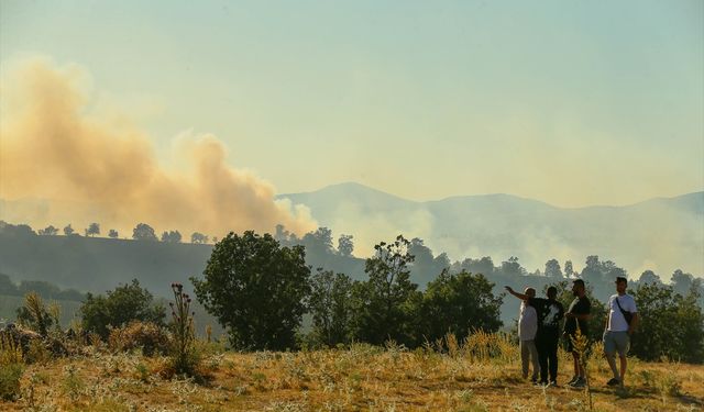 Uşak Eşme'deki yangını nedeniyle 2 kişi tutuklandı
