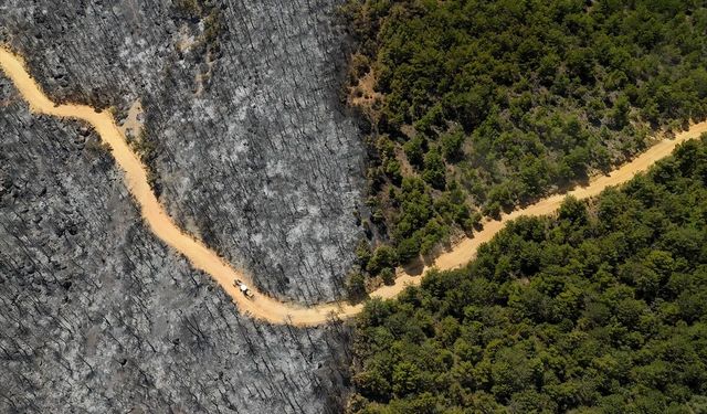 Uşak Eşme, Alaşehir ve Muğla'daki yangınlara 28 bin personel ve 140 bine yakın gönüllü müdahale etti