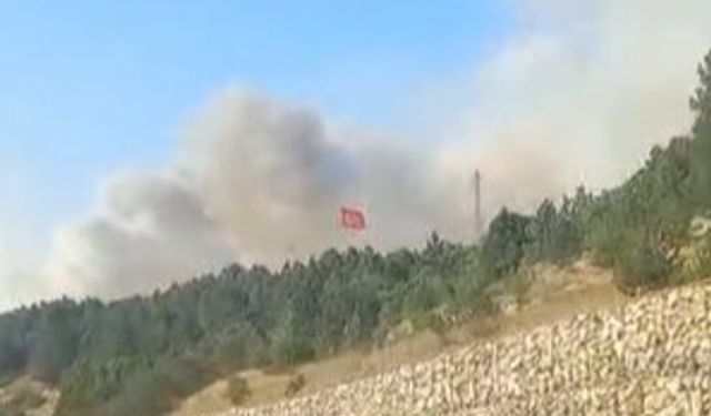 Uşak, Kütahya ve Afyon'un ortasındaki Dumlupınar Şehitliği'nin bulunduğu bölgede orman yangın çıktı