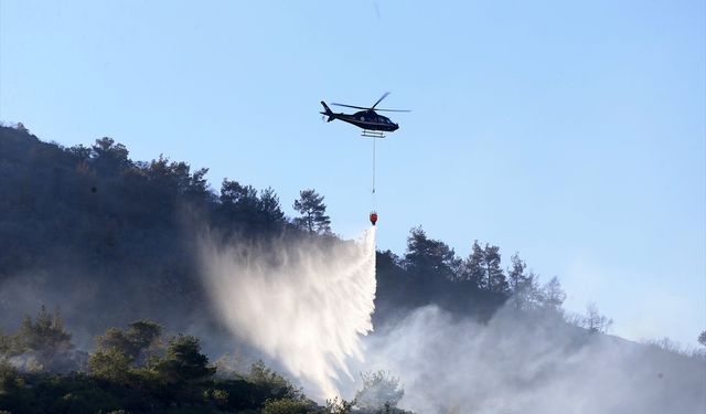 Eşme'nin kapı komşusu Alaşehir'de yangın