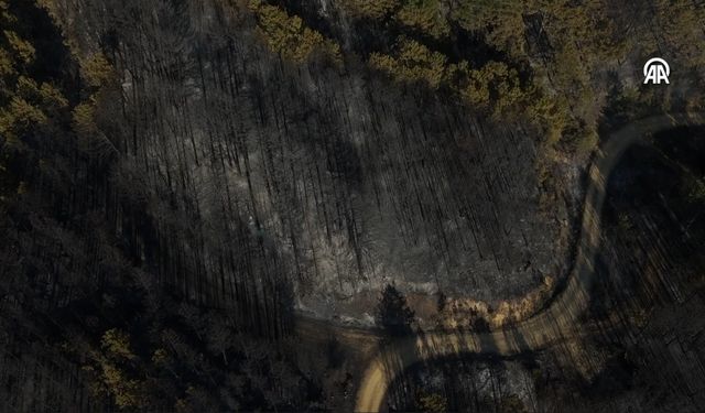 Uşak'ın Banaz ilçesinde yürek yakan görüntü