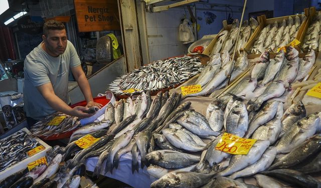 Balık bereketi! 400 liralık balık 150 liraya satılıyor