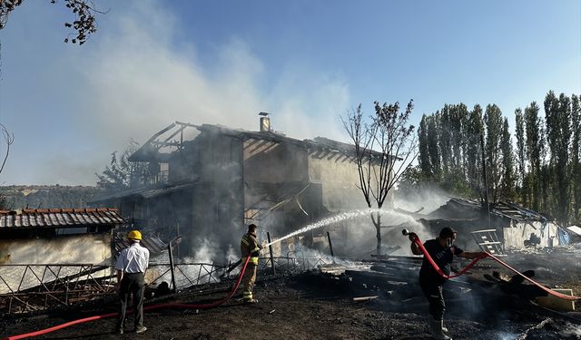 Uşak Sorkun köyündeki yangında 2 inek ve 1 buzağı canlı kurtarıldı