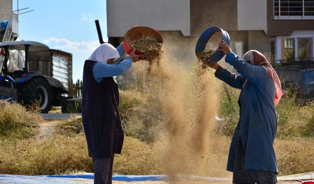 Uşak'ın komşusu Demirci'nin geleneksel yöntemle yapılan kuru fasulyesi 150 TL'den satılıyor