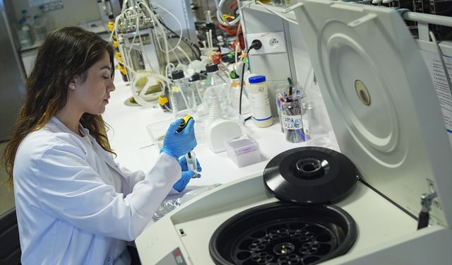 Sibel Kalyoncu Uzunlar, Gülçin Çakan Akdoğan ve Ercan Varlıbaş sarı noktaya karşı kendi ilaçları üzerine çalışıyorlar