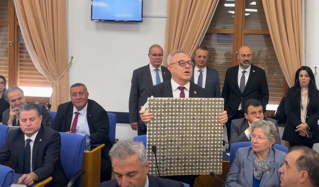 CHP Uşak Milletvekili, oğluyla beraber 1'er TL paralarla tablo yaptı