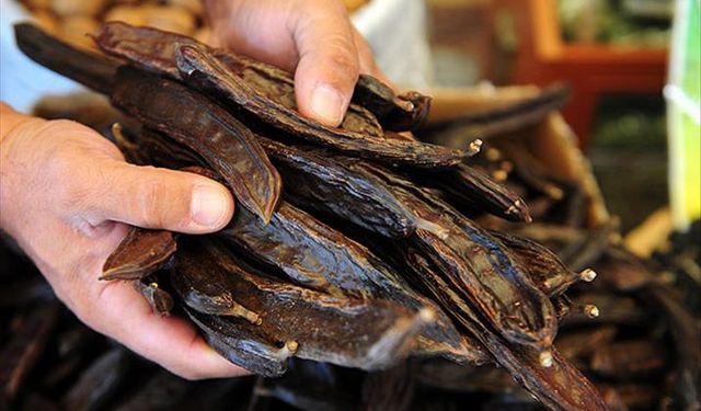 Mersin'de keçiboynuzu balında hasat dönemi başladı