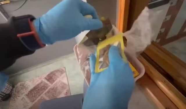 Uşak ve Afyon'un yer aldığı 63 ilde 424 kişi alındı