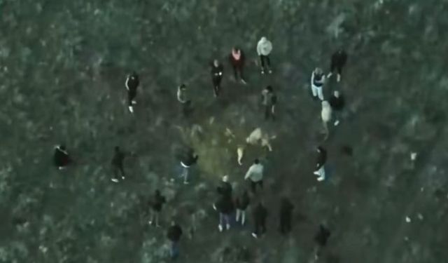 Banaz'ın kapı komşusu Sandıklı'da köpek dövüşü! Bu kadarına da pes!