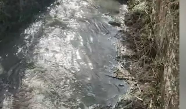 Uşak, Kütahya ve Manisa'nın yaşam kaynağı Gediz için 4 milyar TL ceza!