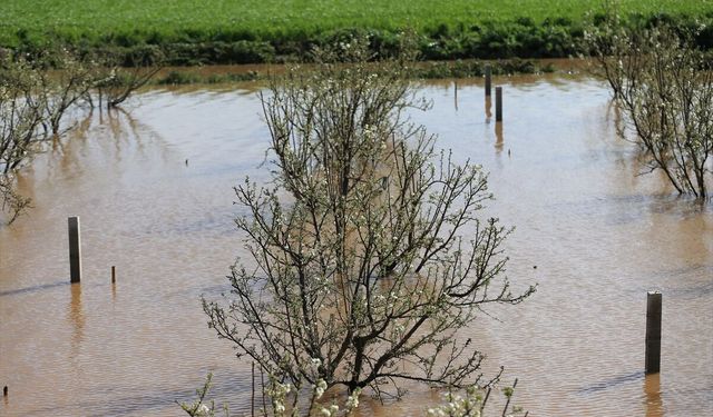 Gediz, Uşak'ın ardından Manisa Turgutlu'yu da sular altında bıraktı
