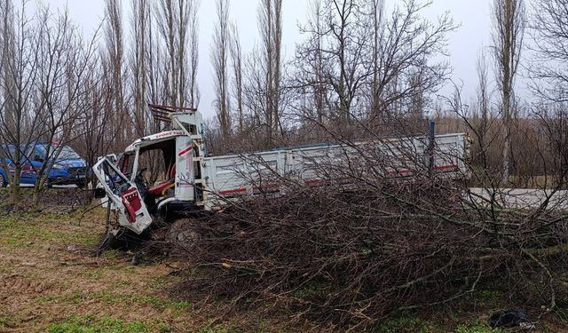 Uşak Banaz Yazıtepe'de kamyon ağaçları biçti! 4 Yaralı!