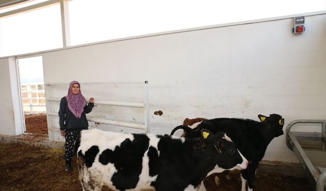 Tavaslı Birselin Önüt, 5 inekle başladığı süt işini büyütüp çiftlik sahibi oldu