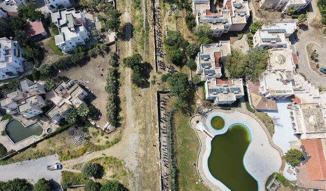 Bodrum'da turizm haftası için güzel bir etkinlik