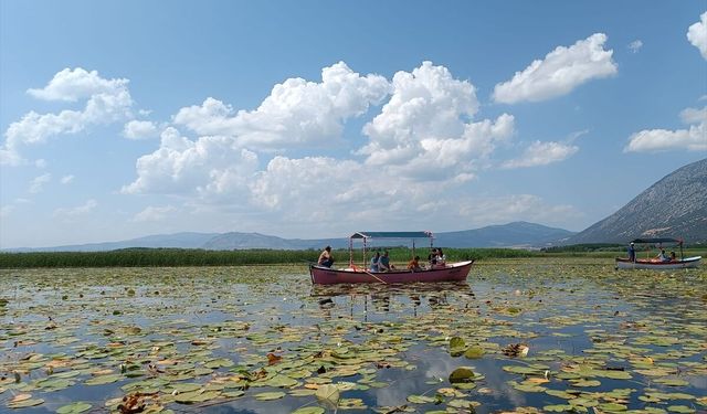 Uşak'ın komşusu Çivril'deki Işıklı gölünde nilüferler eşliğinde tekne turlarının başlayacağı tarih belli oldu