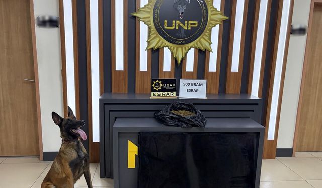 Uşak'ta zehir tacirleri incecik LED TV ekranına kadar indi!