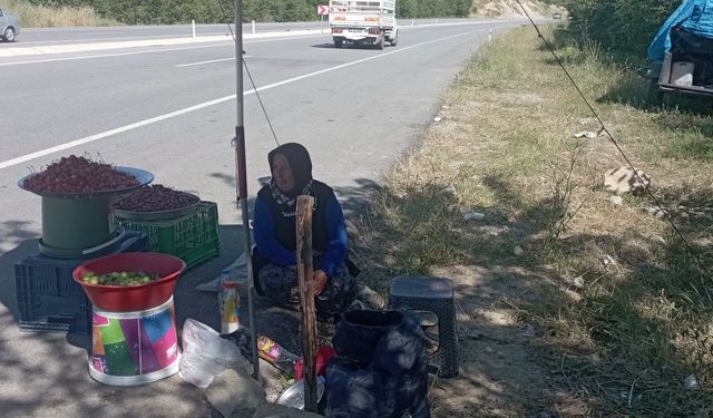 Şaphane ve Pazarlar yolu üzerinde lezzetli kiraz satışı başladı