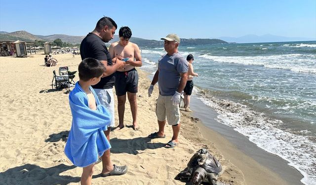 Parke taşı bağlanan su kaplumbağasının cansız bedeni, Pamucak sahilinde bulundu
