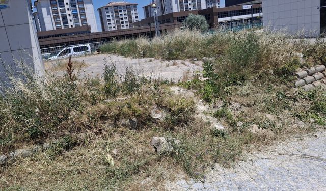 Uşak'ta bin bir umutla yapılan Kentsel Dönüşüm Bölgesi, 10 yılda 'Bakımsızlığını' ilan etti