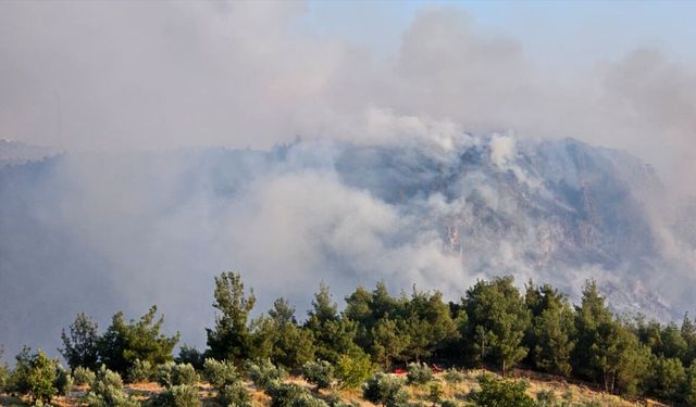 Bir sigara izmariti yüzünden Pamukkale'de orman yangını çıktı