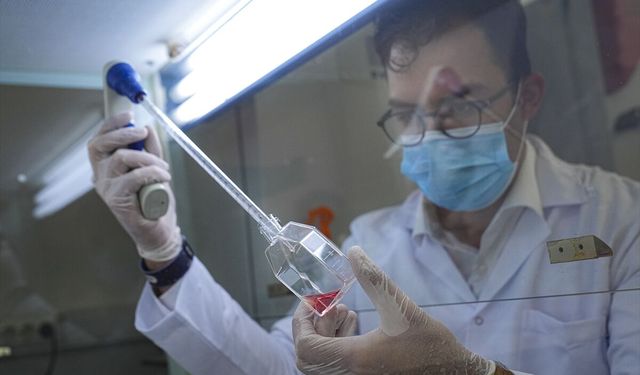 Ege Üniversitesi'nde dişten alınan kök hücreyle çikolata kistine çözüm