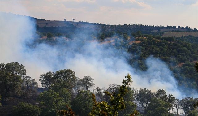 Uşak'ın orman yangınları konusunda yeterli yatırım alamadığını belirtti