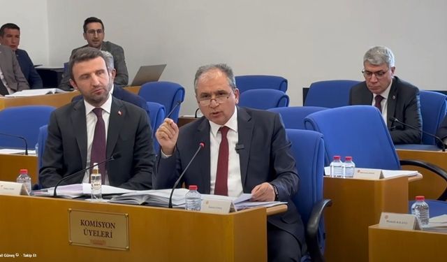 Erhan Usta'nın Uşak Milletvekili İsmail Güneş'in üzerine yürümesinin sebebi
