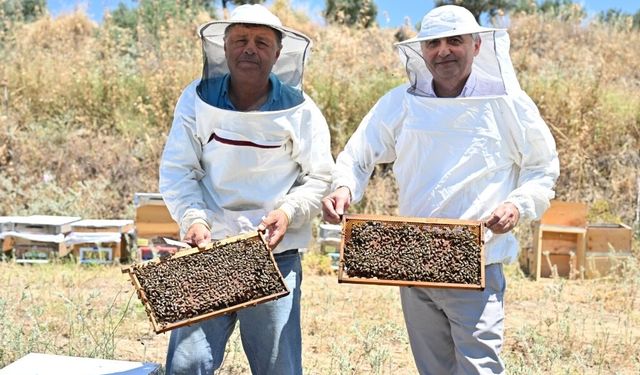 Gördes'te 7'den 70'e arıcılığı teşvik eden ve ağız tatlandıran uygulama