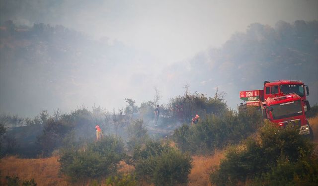 Uşak Eşme'deki yangın kontrol altına alındı