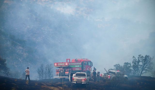 Uşak Eşme Kayalı köyünde orman yangını