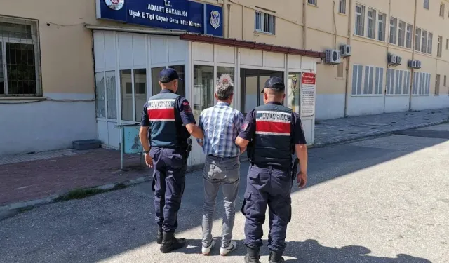 Uşak’ta Jandarmadan zehir taciri Operasyonu