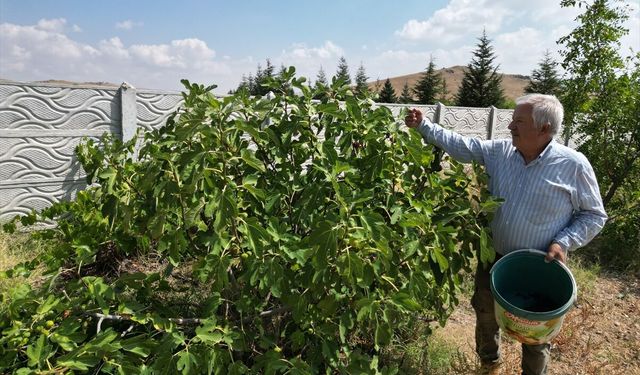 Afyonlu emekli öğretmen Necati Gündüz, çölün ortasına adeta vaha kurdu
