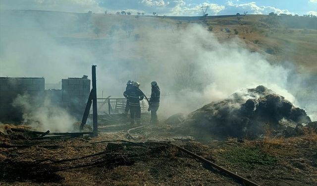 Gediz Tepepınar'dan Hamza Dayan, çıkan ahır yangınında vefat etti
