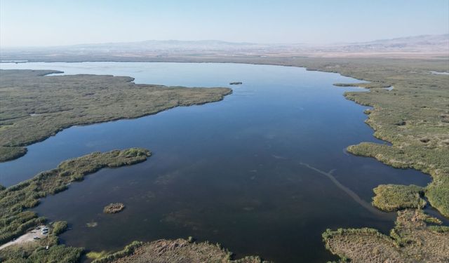 Eber gölünün çevresindeki yangın, bölgedeki hayvan çeşitliliğine zarar verdi