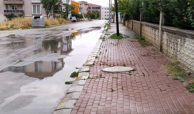 İzmir'in Foça ilçesinde sağanak etkili oluyor