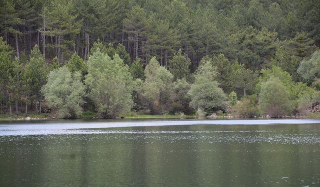 Uşak'ta her yıl milyonlarca metreküp su heba oluyor