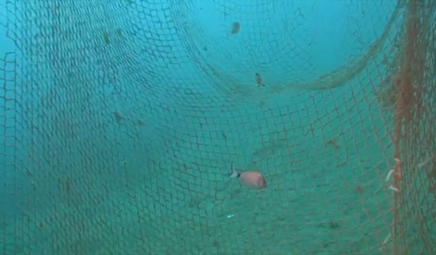 Karaburun'da denizde bırakılan 1 buçuk tonluk hayalet ağ, balıklara ve su kaplumbağalarına zarar verecekti