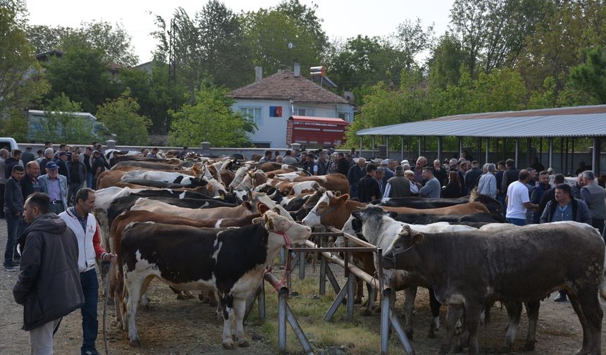 Uşak'ta Kurban Bayramı önü, tekrar açılan Banaz hayvan pazarında yoğunluk dikkat çekiyor